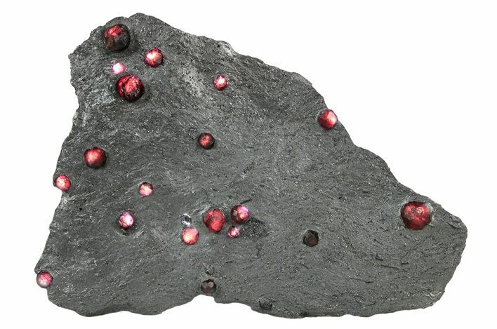 Plate of Red Embers Garnets in Graphite - Massachusetts #301209